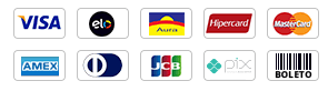 Bandeiras de cartões aceitas na loja: Visa, Mastercard, Elo, Pix e mais.